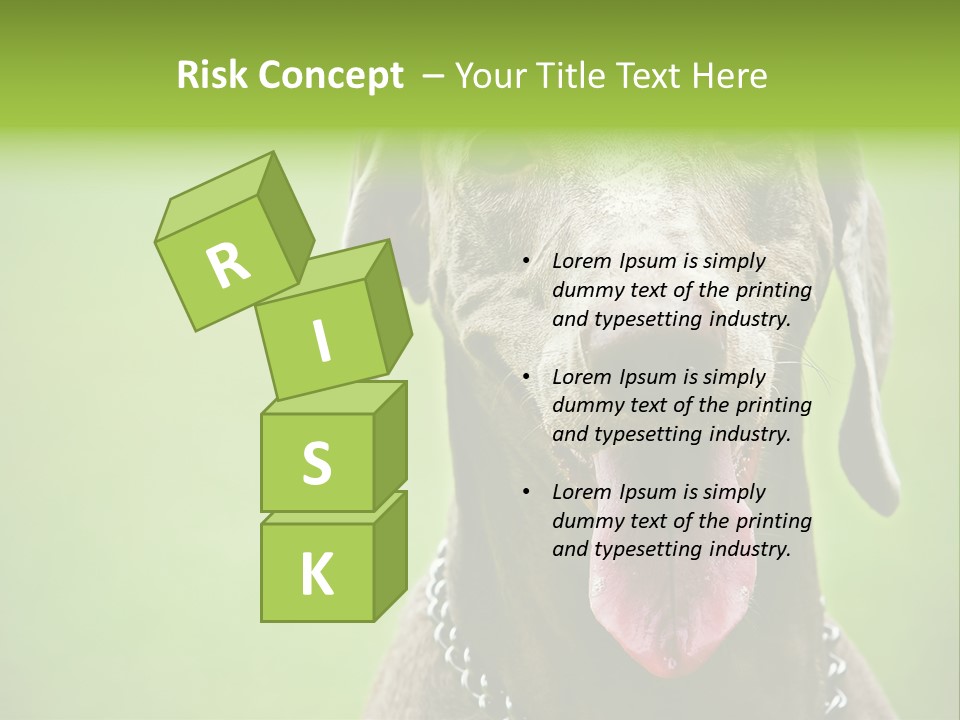 Portrait Of Siblings And Their Parents With Cute Cat Looking At Camera PowerPoint Template