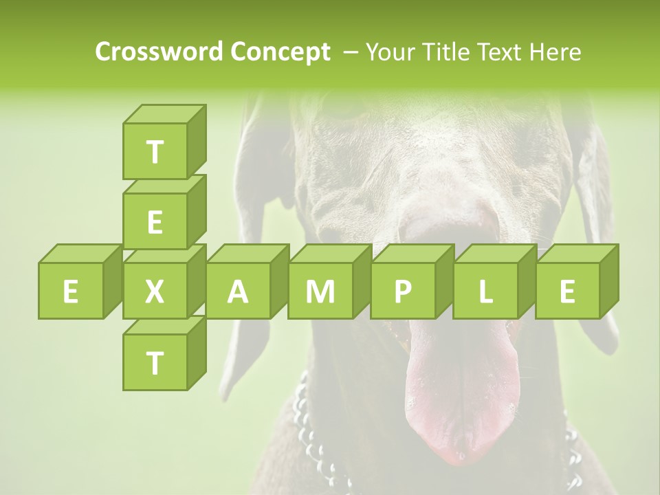 Portrait Of Siblings And Their Parents With Cute Cat Looking At Camera PowerPoint Template