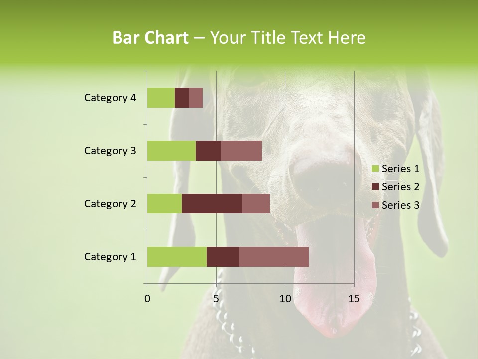 Portrait Of Siblings And Their Parents With Cute Cat Looking At Camera PowerPoint Template