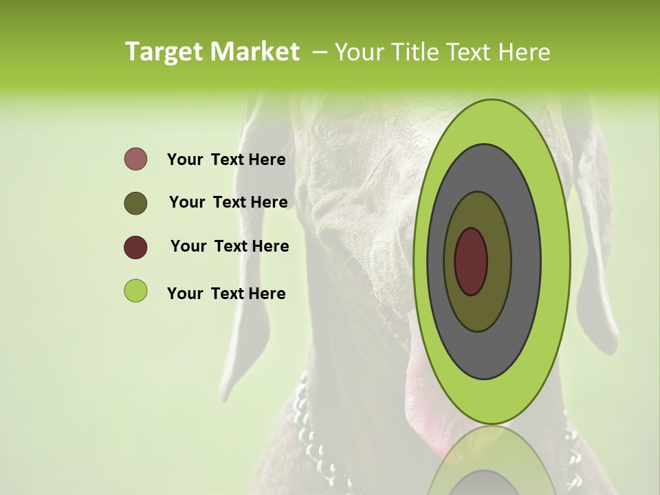 Portrait Of Siblings And Their Parents With Cute Cat Looking At Camera PowerPoint Template