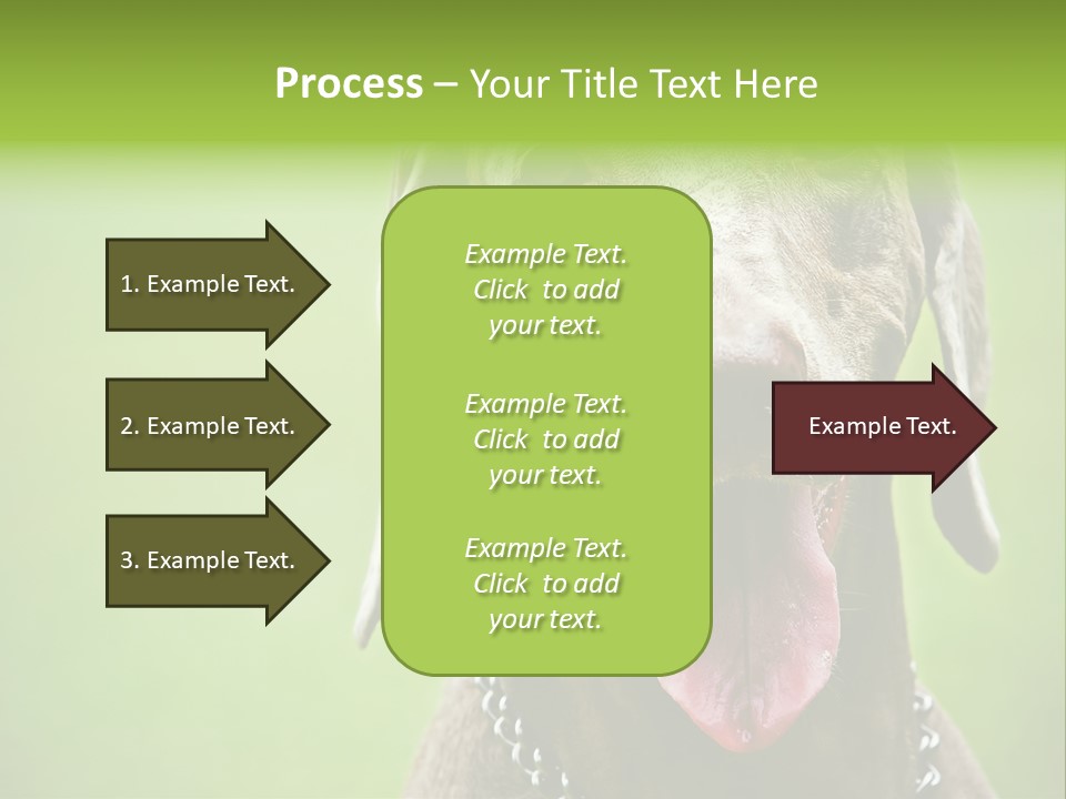 Portrait Of Siblings And Their Parents With Cute Cat Looking At Camera PowerPoint Template