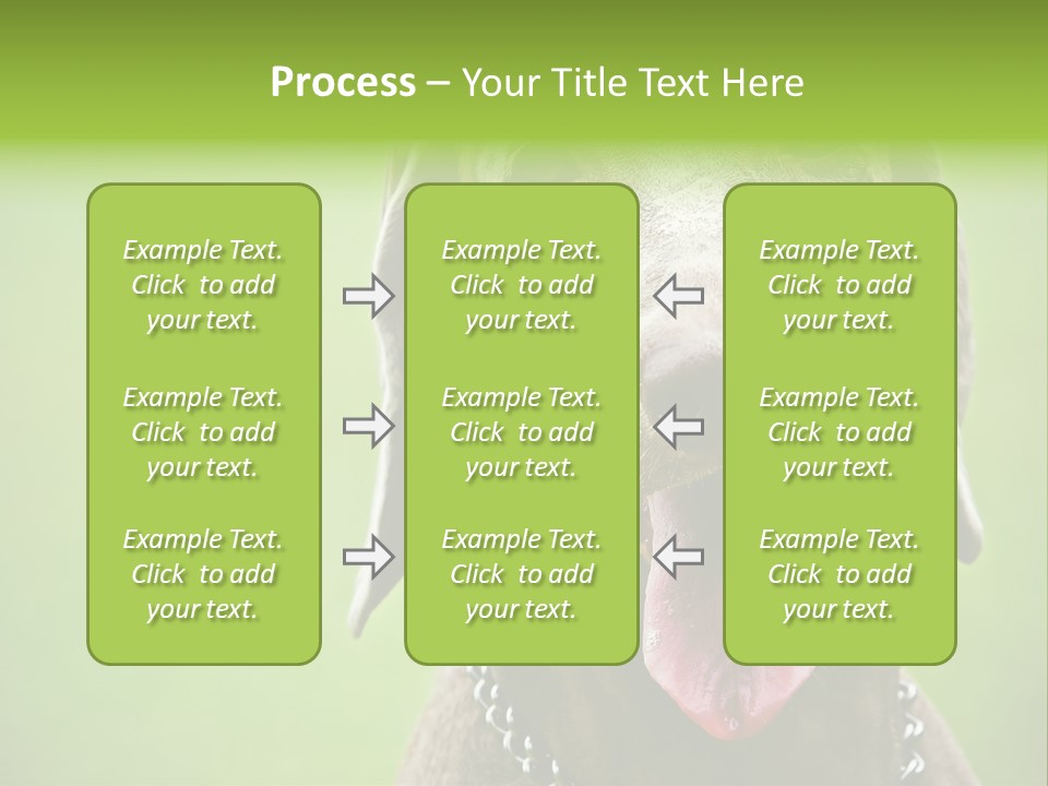 Portrait Of Siblings And Their Parents With Cute Cat Looking At Camera PowerPoint Template