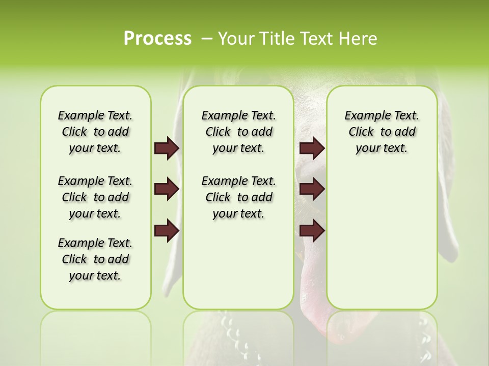 Portrait Of Siblings And Their Parents With Cute Cat Looking At Camera PowerPoint Template