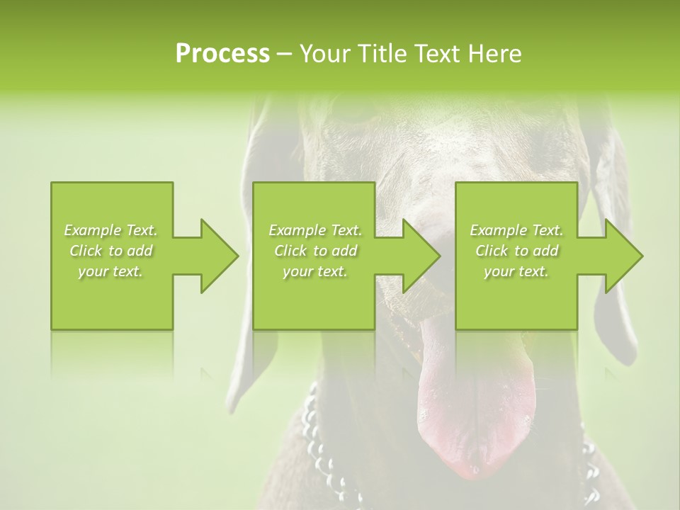 Portrait Of Siblings And Their Parents With Cute Cat Looking At Camera PowerPoint Template