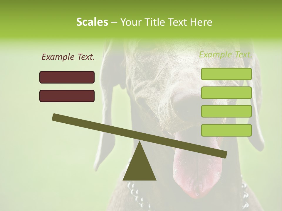 Portrait Of Siblings And Their Parents With Cute Cat Looking At Camera PowerPoint Template