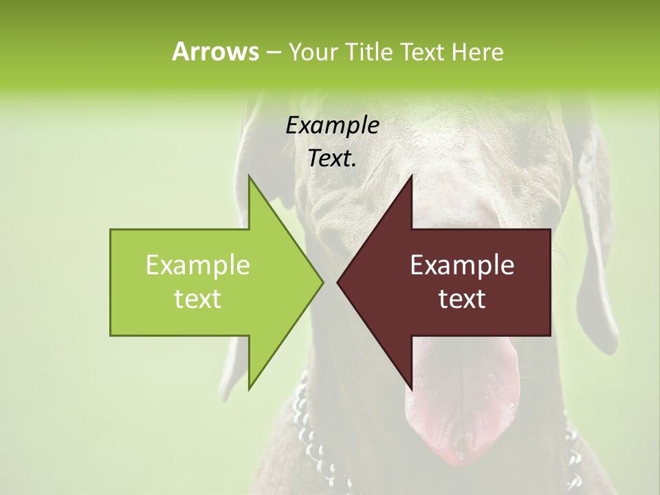 Portrait Of Siblings And Their Parents With Cute Cat Looking At Camera PowerPoint Template