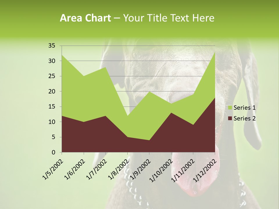 Portrait Of Siblings And Their Parents With Cute Cat Looking At Camera PowerPoint Template