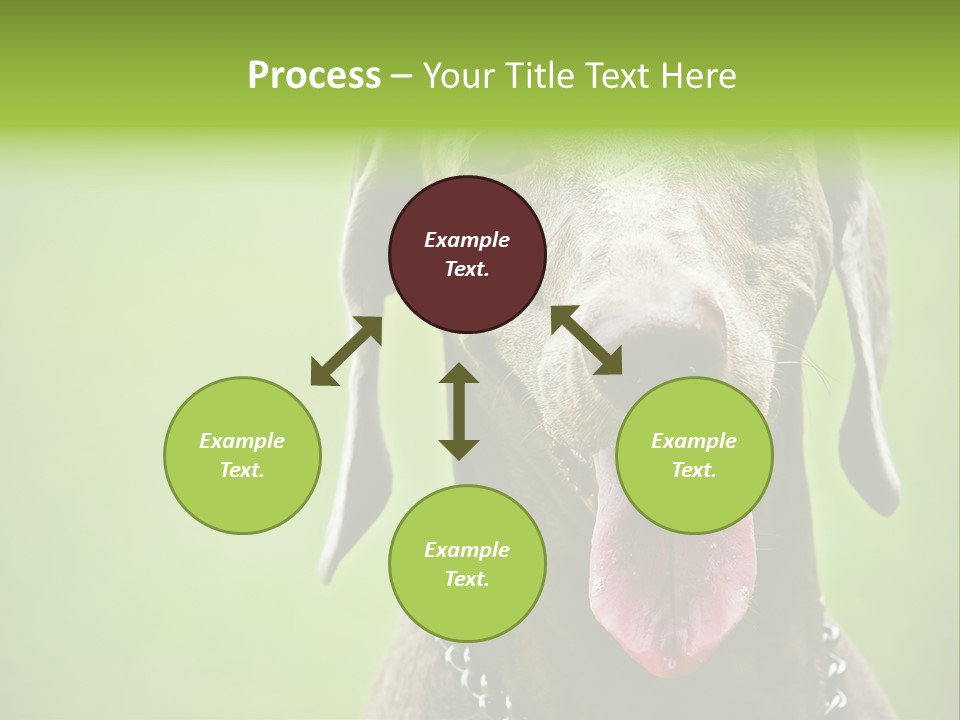 Portrait Of Siblings And Their Parents With Cute Cat Looking At Camera PowerPoint Template