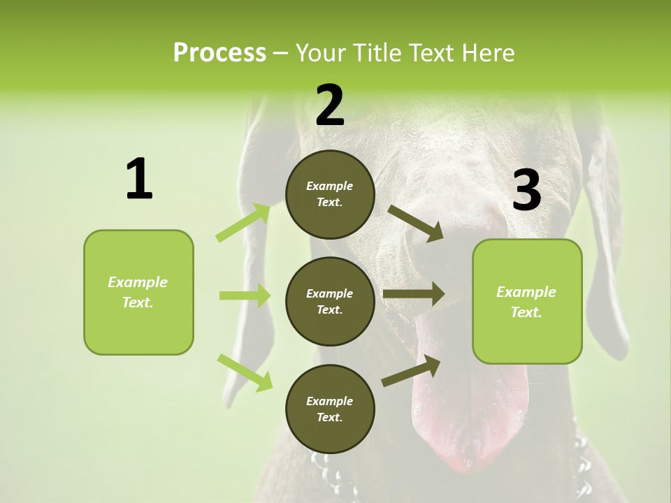 Portrait Of Siblings And Their Parents With Cute Cat Looking At Camera PowerPoint Template