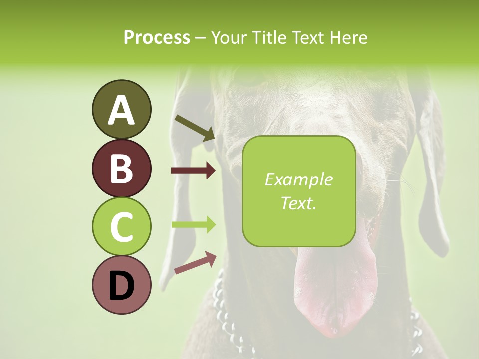 Portrait Of Siblings And Their Parents With Cute Cat Looking At Camera PowerPoint Template