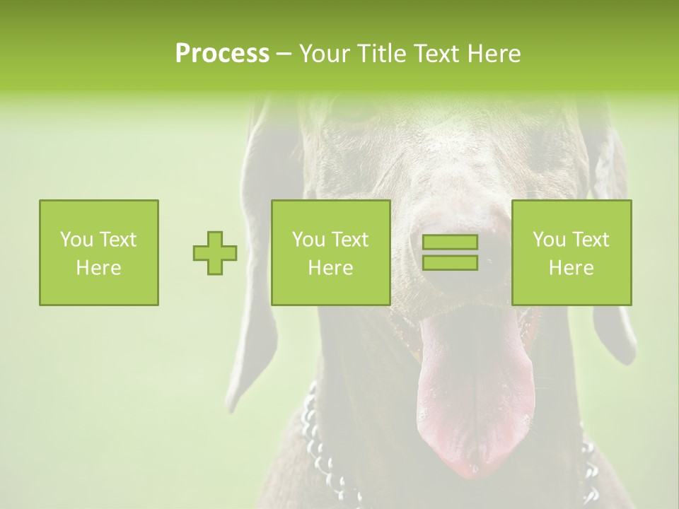 Portrait Of Siblings And Their Parents With Cute Cat Looking At Camera PowerPoint Template