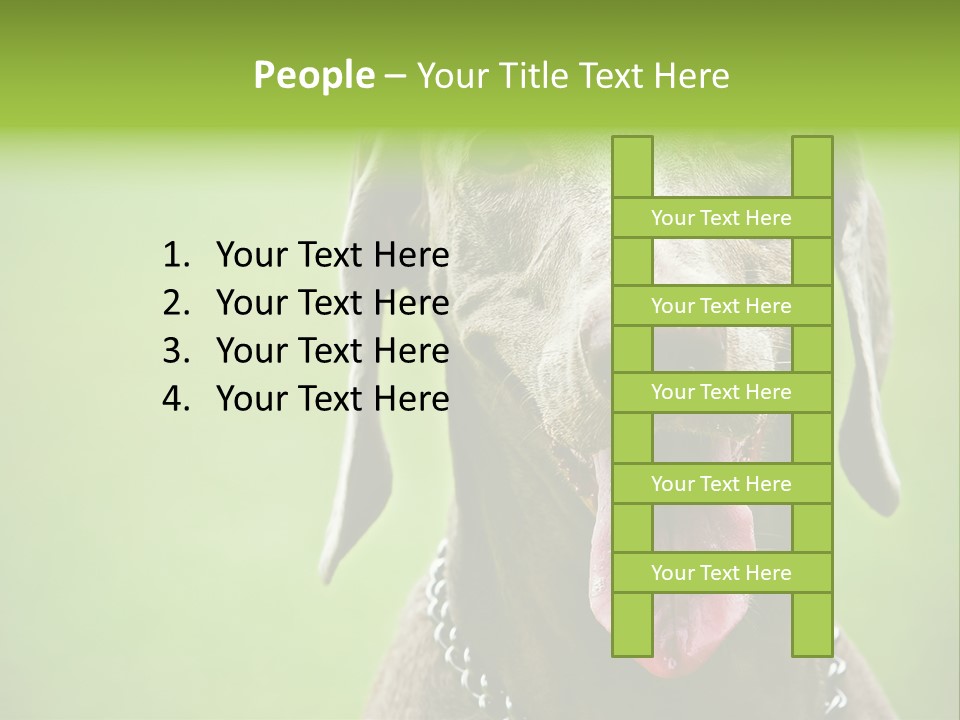 Portrait Of Siblings And Their Parents With Cute Cat Looking At Camera PowerPoint Template