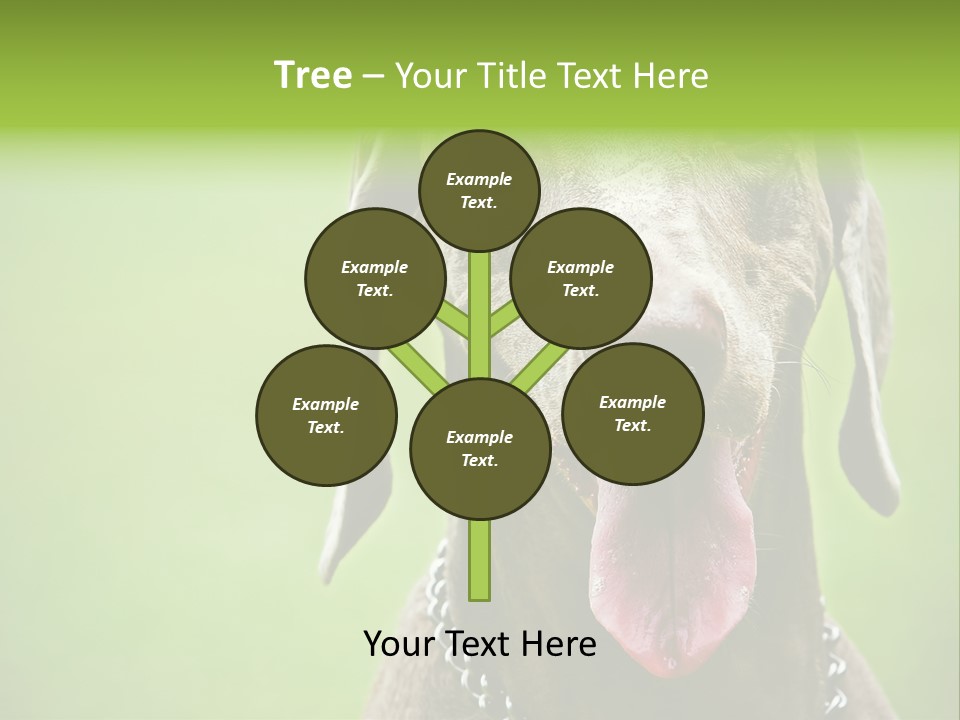 Portrait Of Siblings And Their Parents With Cute Cat Looking At Camera PowerPoint Template