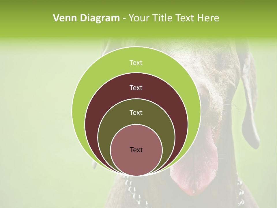 Portrait Of Siblings And Their Parents With Cute Cat Looking At Camera PowerPoint Template