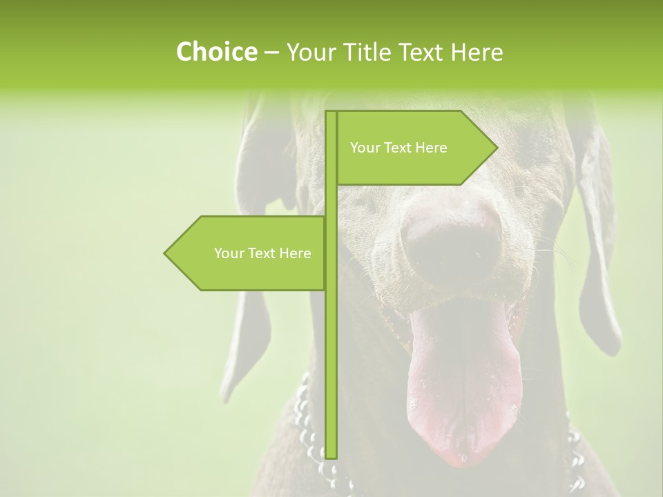 Portrait Of Siblings And Their Parents With Cute Cat Looking At Camera PowerPoint Template