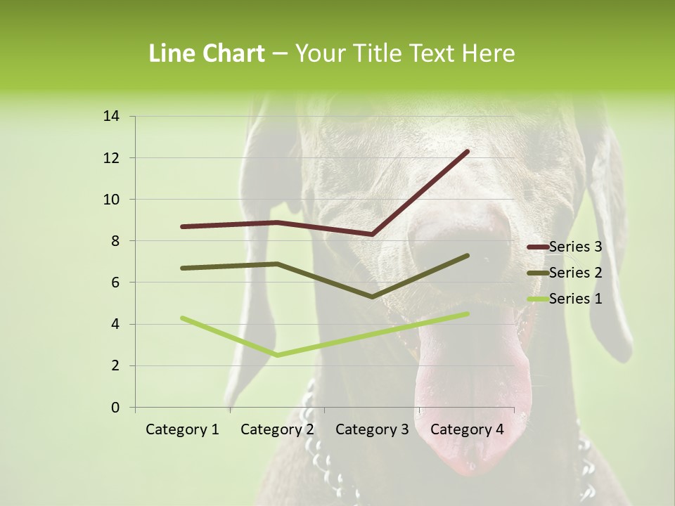 Portrait Of Siblings And Their Parents With Cute Cat Looking At Camera PowerPoint Template