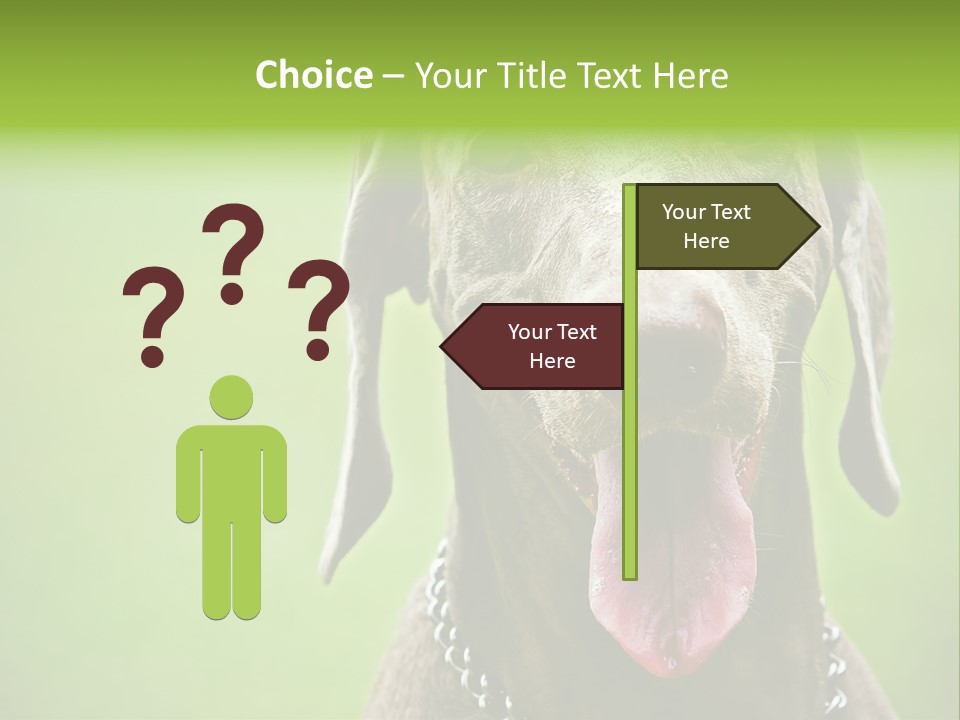 Portrait Of Siblings And Their Parents With Cute Cat Looking At Camera PowerPoint Template