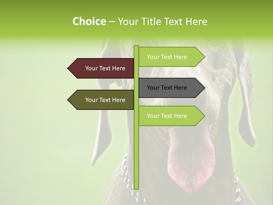 Portrait Of Siblings And Their Parents With Cute Cat Looking At Camera PowerPoint Template