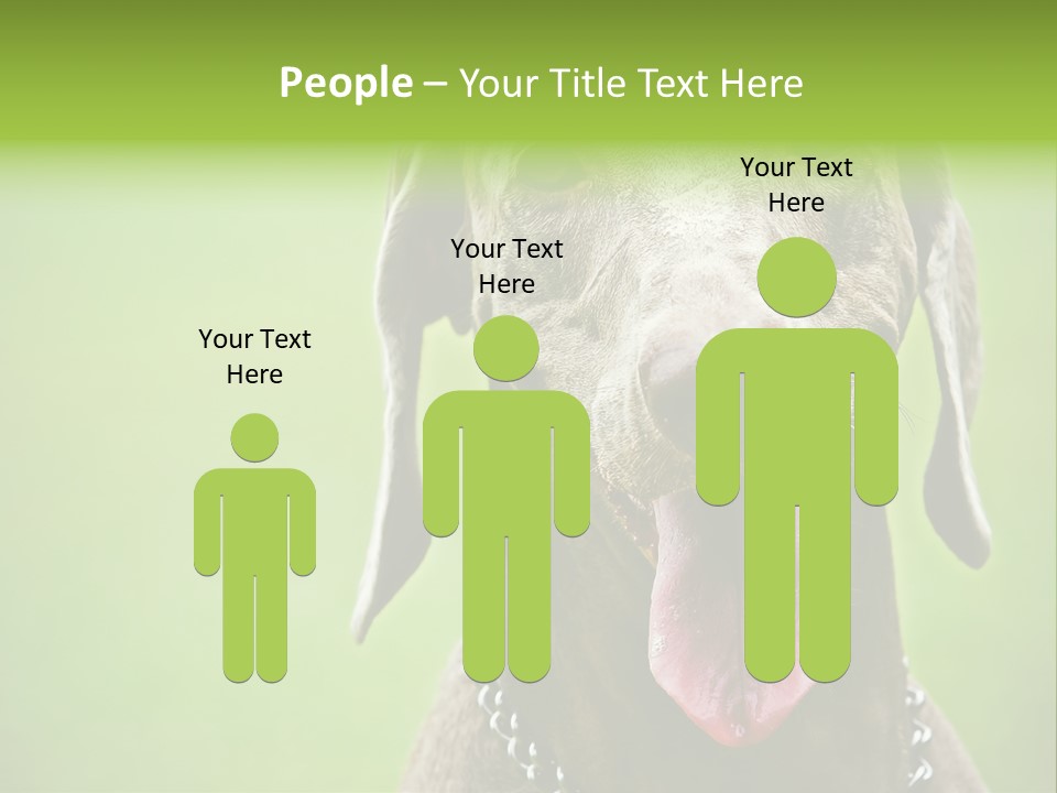 Portrait Of Siblings And Their Parents With Cute Cat Looking At Camera PowerPoint Template