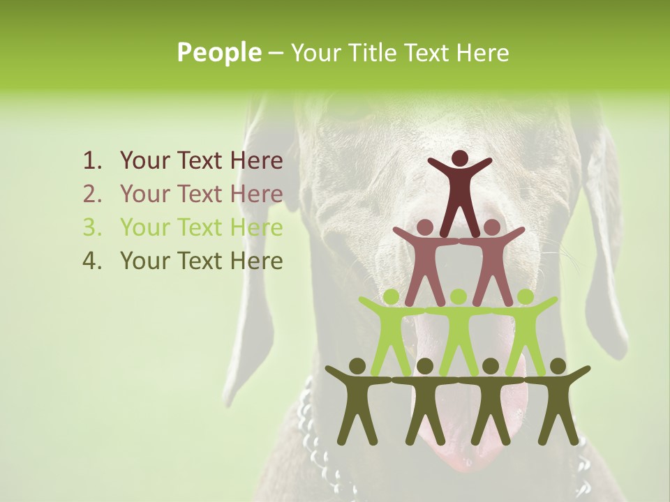 Portrait Of Siblings And Their Parents With Cute Cat Looking At Camera PowerPoint Template