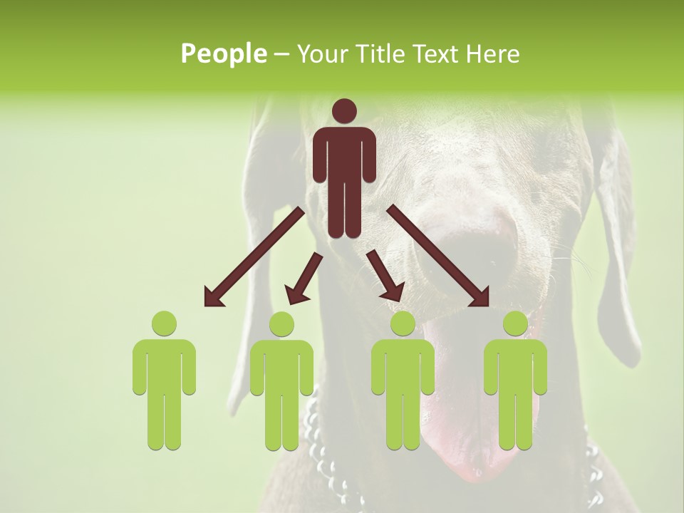 Portrait Of Siblings And Their Parents With Cute Cat Looking At Camera PowerPoint Template