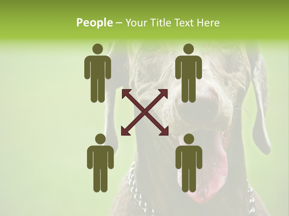 Portrait Of Siblings And Their Parents With Cute Cat Looking At Camera PowerPoint Template