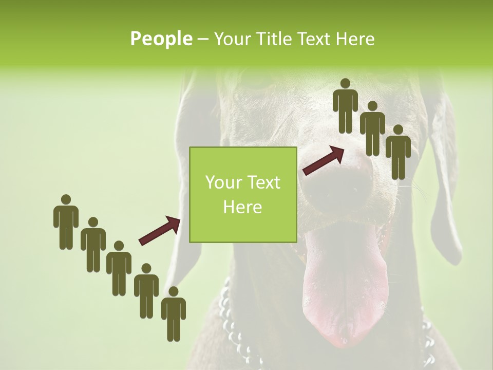 Portrait Of Siblings And Their Parents With Cute Cat Looking At Camera PowerPoint Template