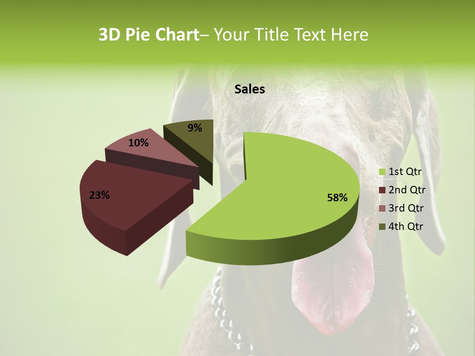 Portrait Of Siblings And Their Parents With Cute Cat Looking At Camera PowerPoint Template