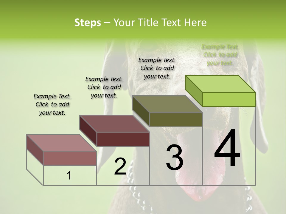 Portrait Of Siblings And Their Parents With Cute Cat Looking At Camera PowerPoint Template