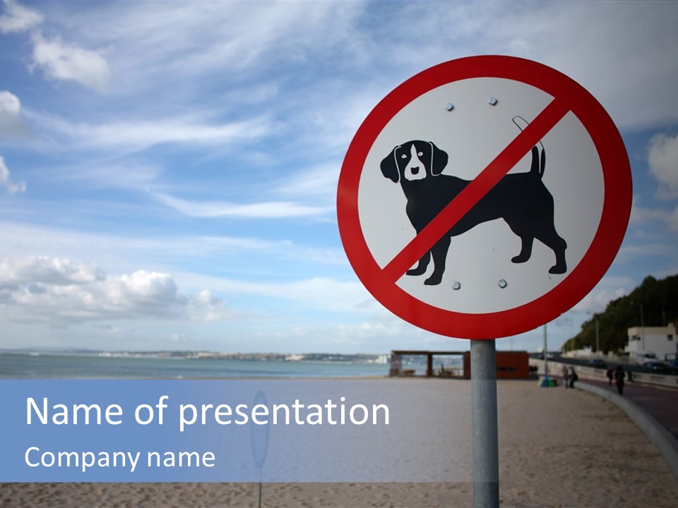A Sign On A Beach Meaning Dogs Are Not Allowed PowerPoint Template
