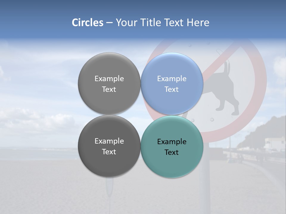 A Sign On A Beach Meaning Dogs Are Not Allowed PowerPoint Template