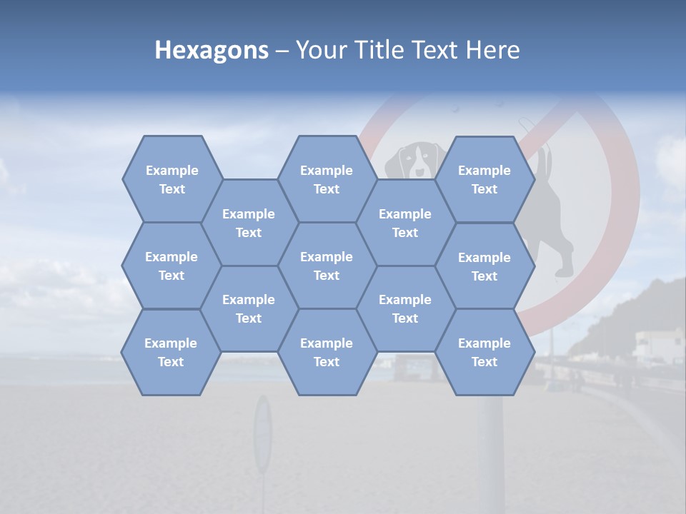 A Sign On A Beach Meaning Dogs Are Not Allowed PowerPoint Template