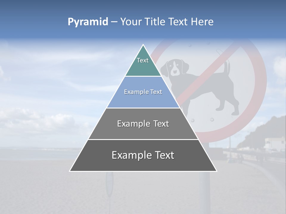 A Sign On A Beach Meaning Dogs Are Not Allowed PowerPoint Template