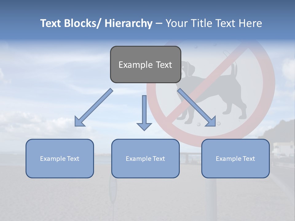 A Sign On A Beach Meaning Dogs Are Not Allowed PowerPoint Template