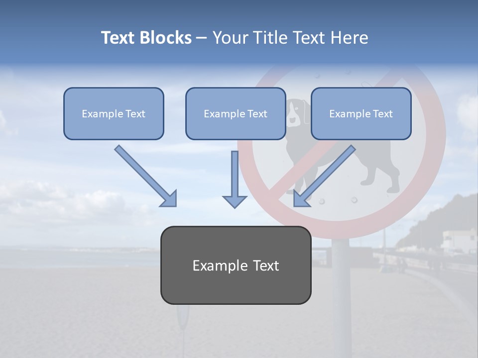 A Sign On A Beach Meaning Dogs Are Not Allowed PowerPoint Template