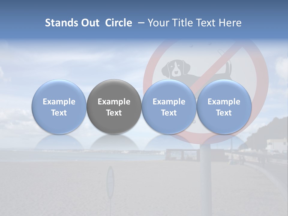 A Sign On A Beach Meaning Dogs Are Not Allowed PowerPoint Template