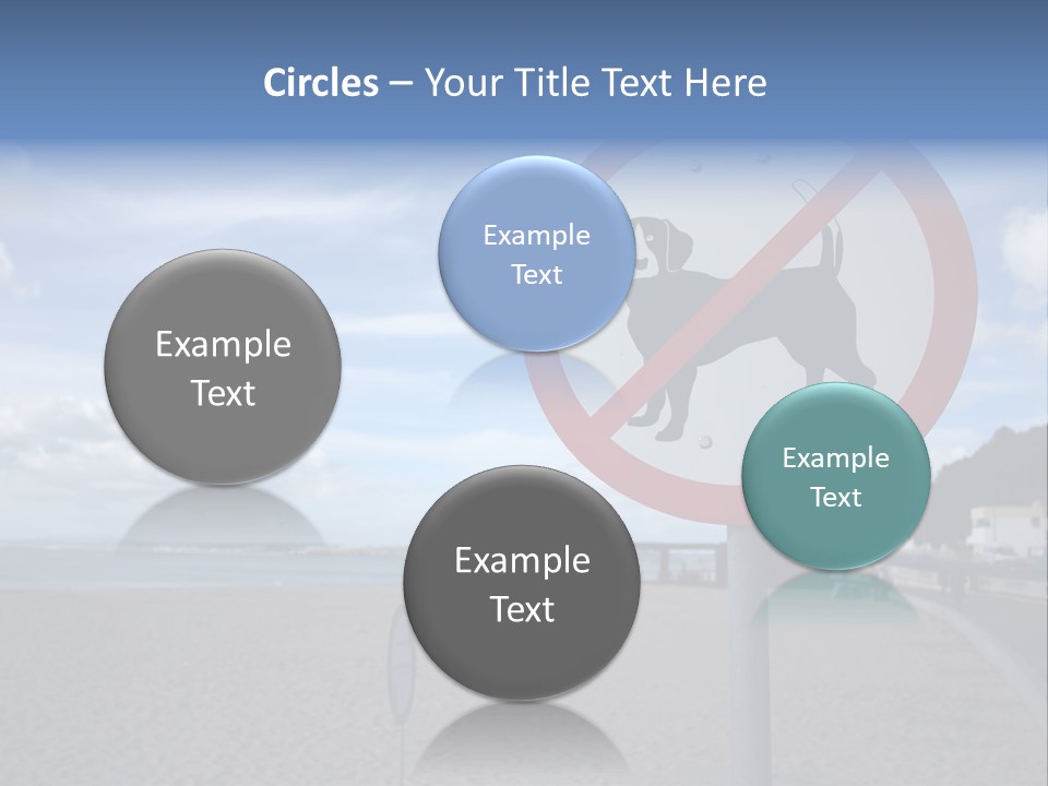 A Sign On A Beach Meaning Dogs Are Not Allowed PowerPoint Template