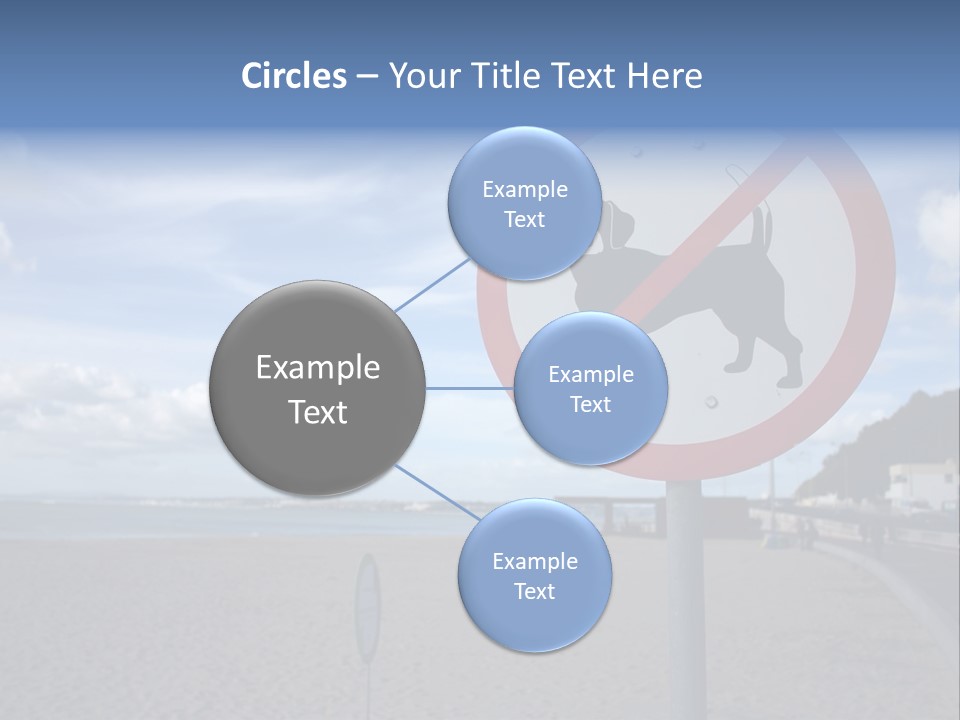 A Sign On A Beach Meaning Dogs Are Not Allowed PowerPoint Template