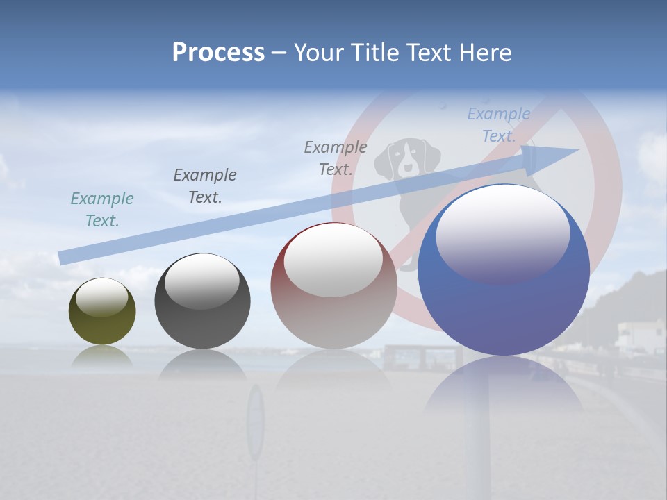 A Sign On A Beach Meaning Dogs Are Not Allowed PowerPoint Template