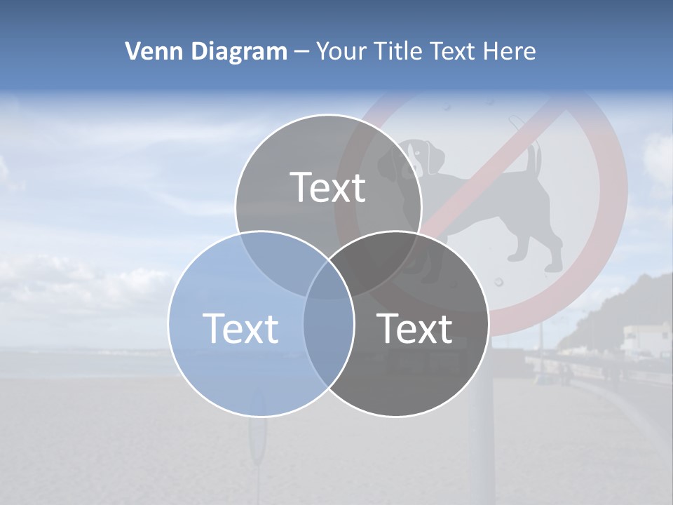 A Sign On A Beach Meaning Dogs Are Not Allowed PowerPoint Template