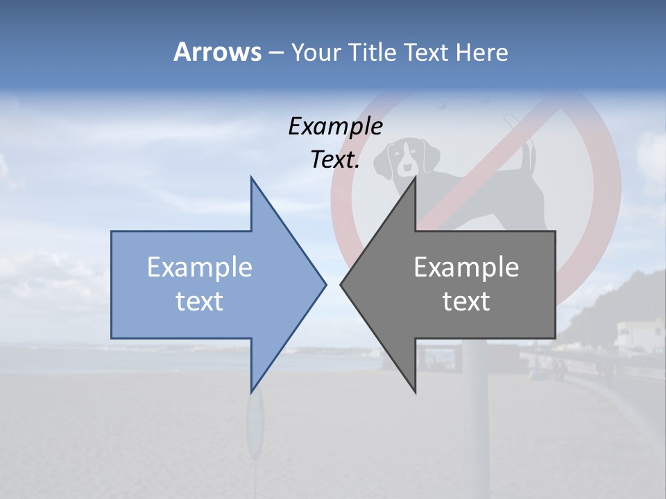 A Sign On A Beach Meaning Dogs Are Not Allowed PowerPoint Template