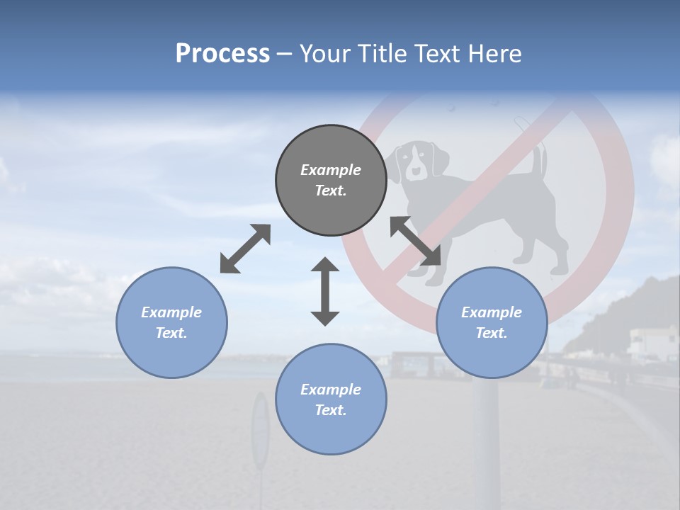 A Sign On A Beach Meaning Dogs Are Not Allowed PowerPoint Template