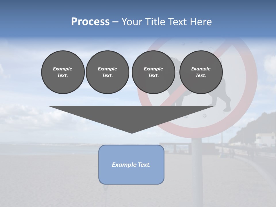 A Sign On A Beach Meaning Dogs Are Not Allowed PowerPoint Template