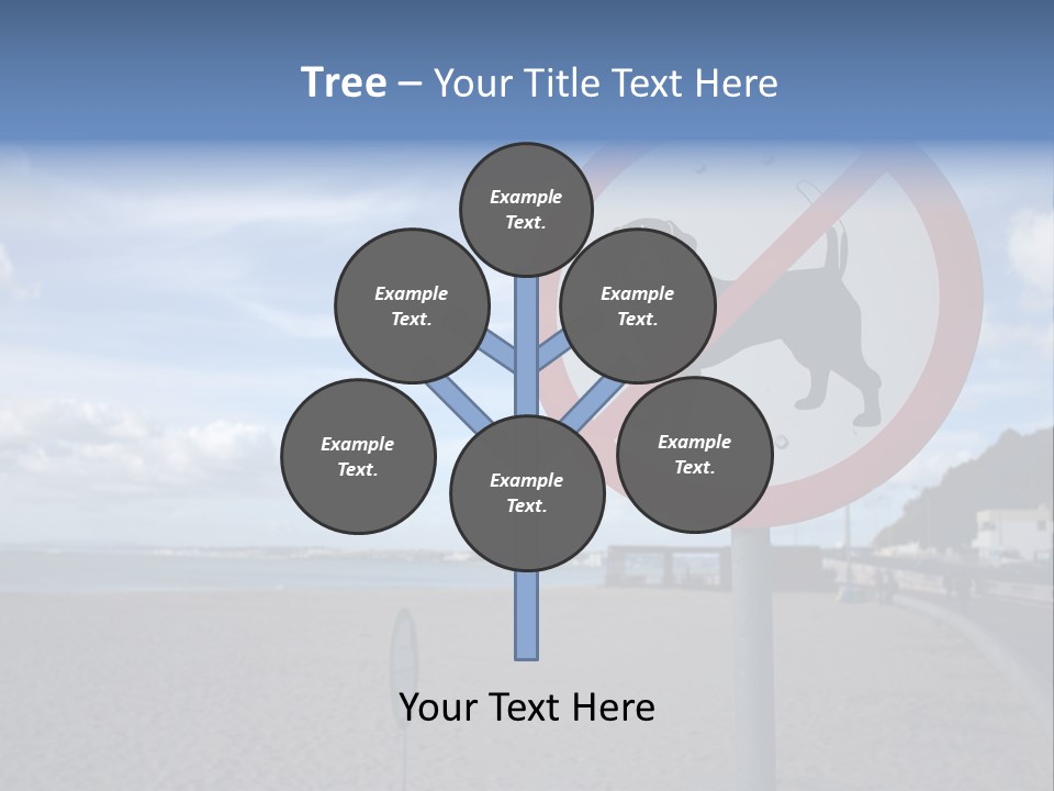 A Sign On A Beach Meaning Dogs Are Not Allowed PowerPoint Template