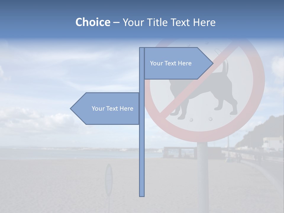 A Sign On A Beach Meaning Dogs Are Not Allowed PowerPoint Template