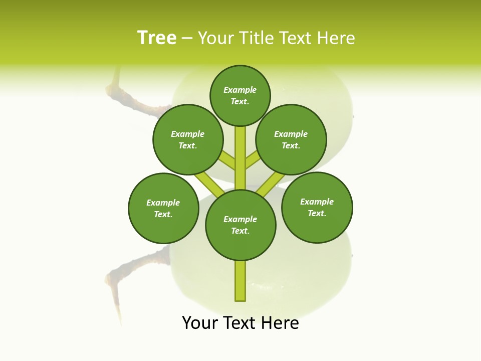 Close Up Of A Green Grapes Isolated Over White Background. PowerPoint Template