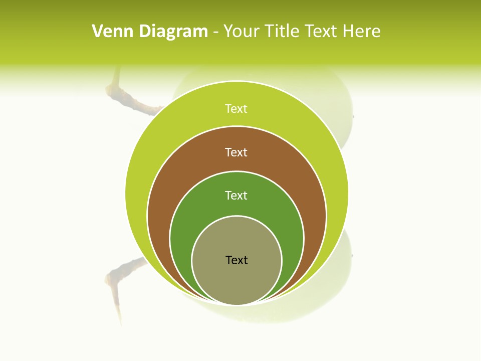 Close Up Of A Green Grapes Isolated Over White Background. PowerPoint Template