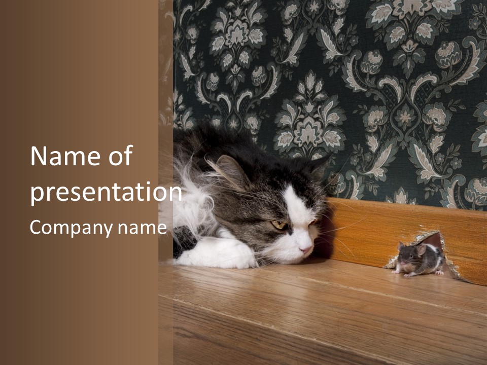 A Cat Laying On The Floor Next To A Mouse PowerPoint Template