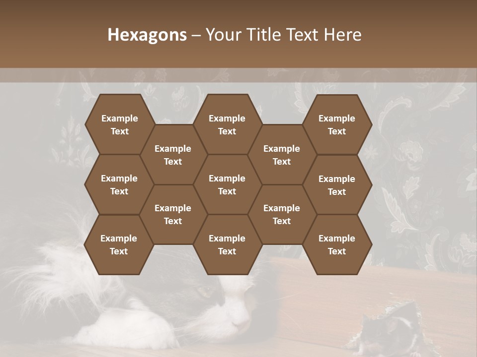 A Cat Laying On The Floor Next To A Mouse PowerPoint Template