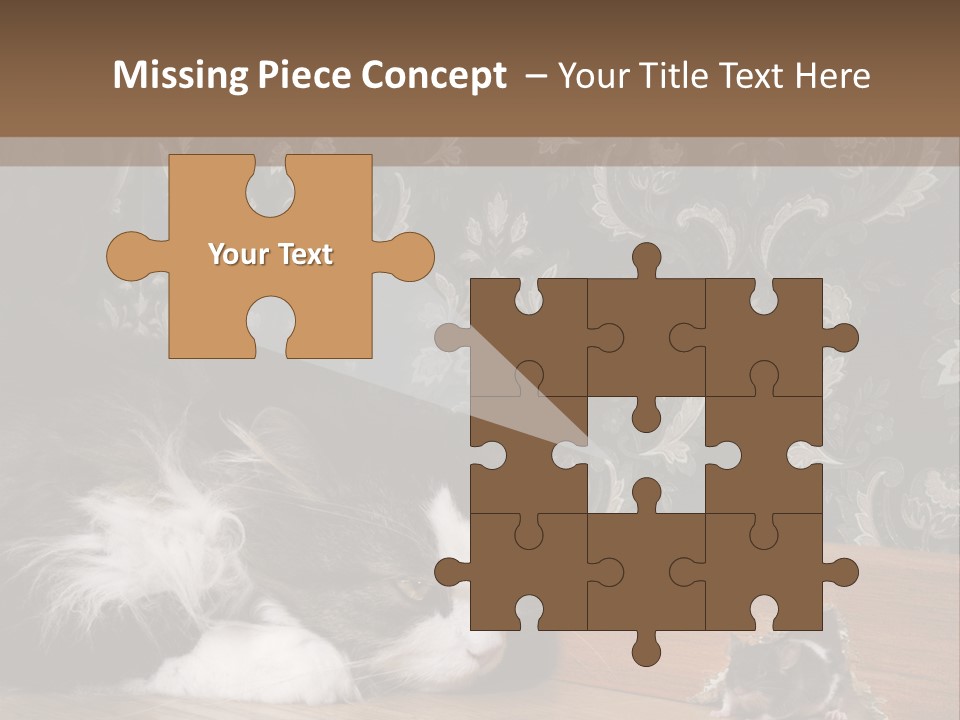 A Cat Laying On The Floor Next To A Mouse PowerPoint Template